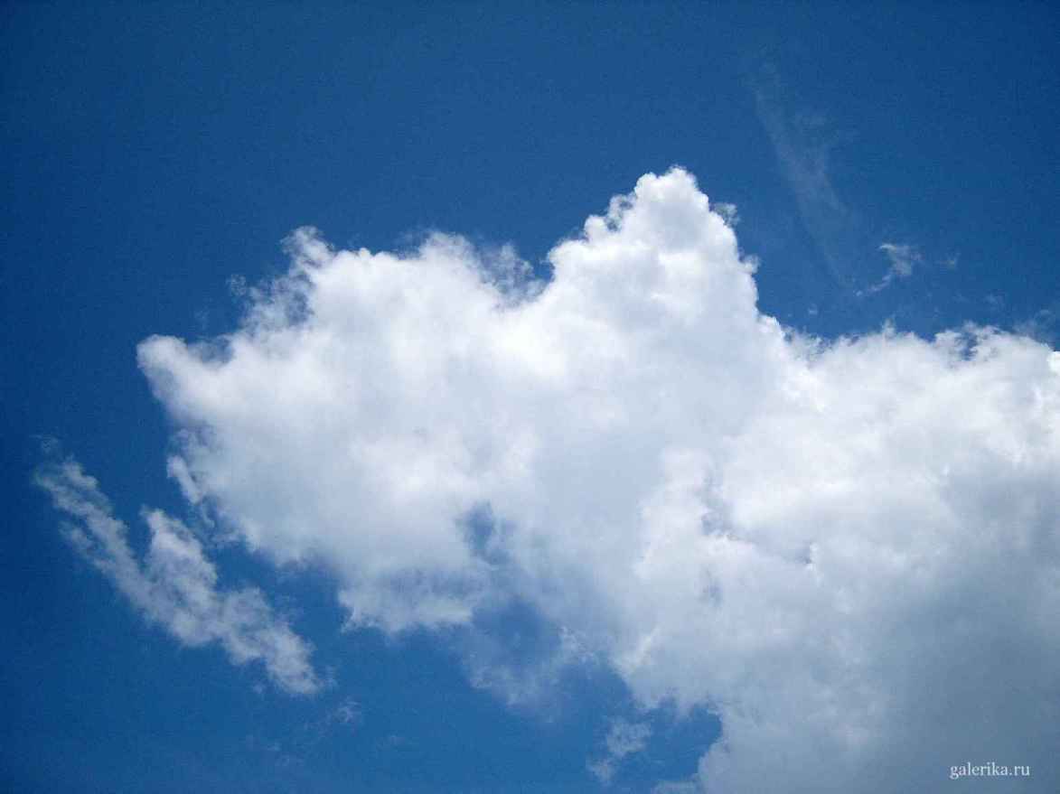 В голубом небе белое облако.