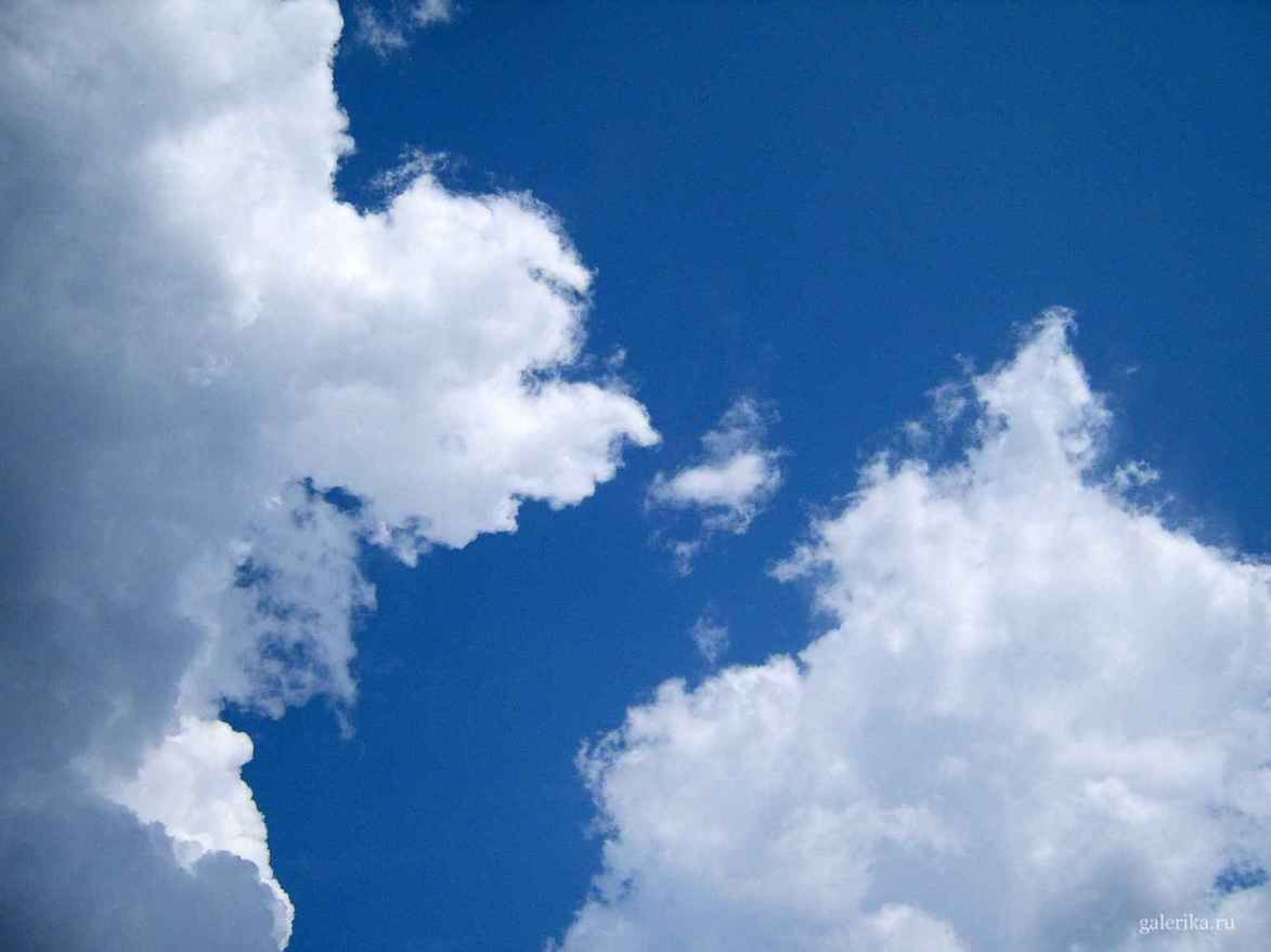 Снимок облаков крупным планом.