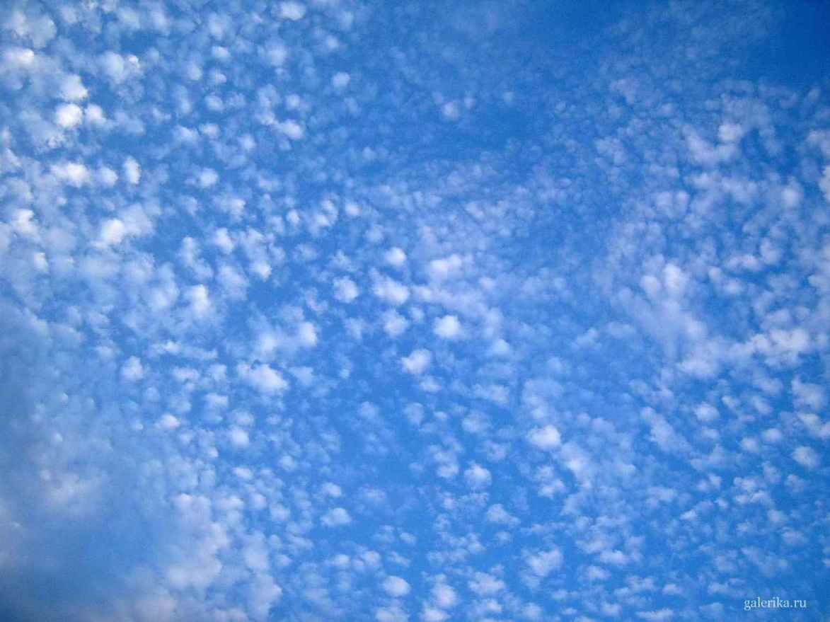 Кусочки облаков разбросаны по небу.