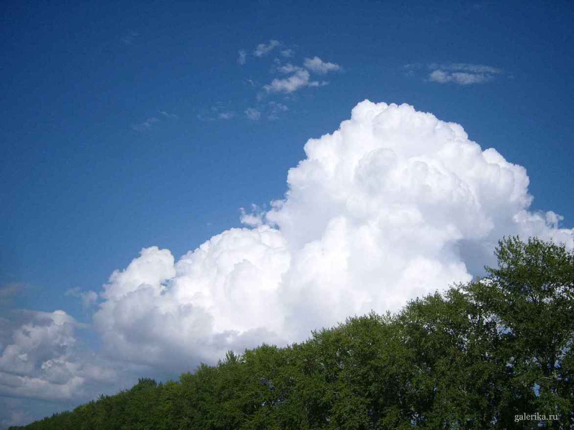 Огромное облако появилось над лесом.